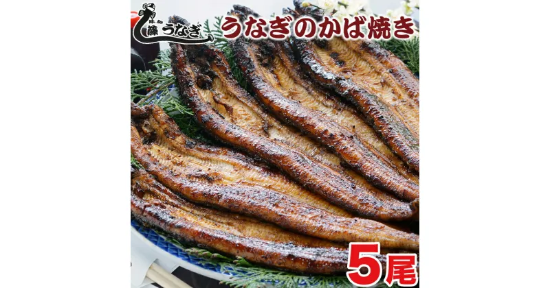 【ふるさと納税】藤うなぎ　かば焼き（5尾） 国産うなぎ 手焼き 炭火焼 送料無料 冷蔵 蒲焼 宮崎県 西都市