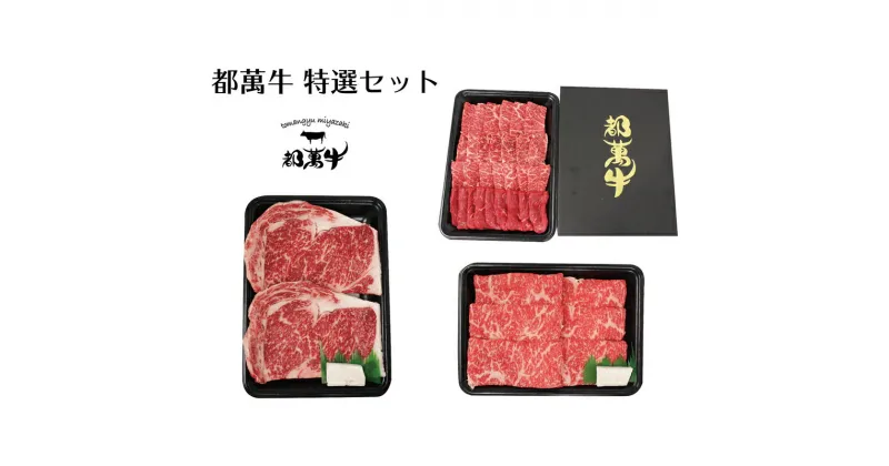 【ふるさと納税】都萬牛 特選セット1kg（ステーキ・すき焼き しゃぶしゃぶ用スライス・焼肉） ふるさと納税 すき焼き しゃぶしゃぶ 焼肉 国産 牛肉 宮崎