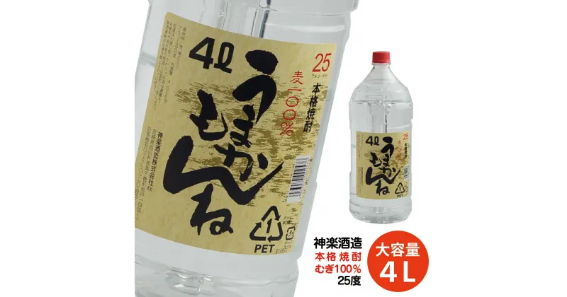 【ふるさと納税】ビックサイズ！神楽酒造『うまかもんね』麦焼酎25度（4L) ふるさと納税 宮崎 焼酎