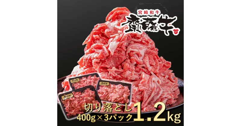 【ふるさと納税】宮崎和牛「齋藤牛」切り落とし1.2kg（400g×3パック）国産 牛肉 小分け 訳あり＜1.8-9＞