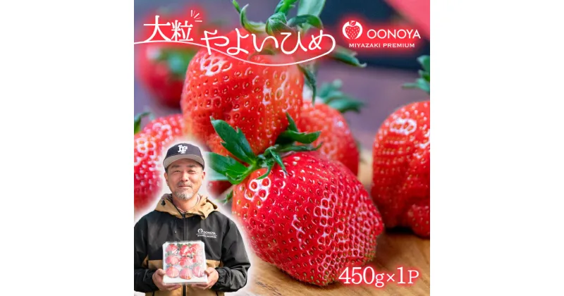 【ふるさと納税】苺大野屋 厳選 大粒いちご「やよいひめ」1パック 宮崎 西都市 苺 先行予約