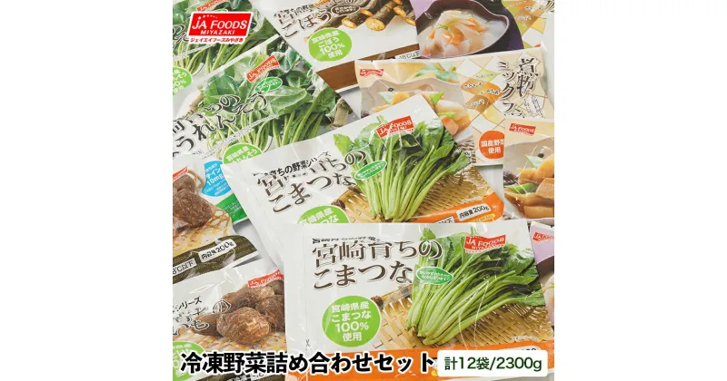 【ふるさと納税】国産「冷凍野菜」詰合せ6種類（合計12袋）とっても便利！ 国産野菜 送料無料 宮崎県産