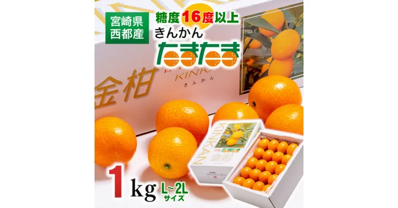 【ふるさと納税】完熟きんかん たまたま1kg 宮崎県 西都市 柑橘 限定 宮崎ブランド完熟きんかん まるかじり