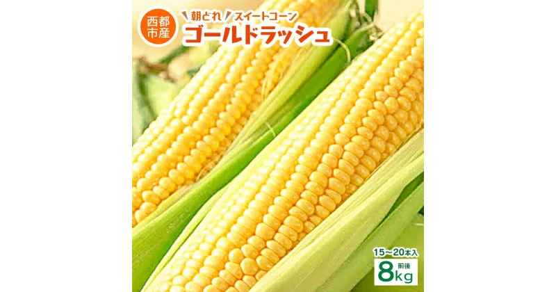 【ふるさと納税】朝どれ スイートコーン 約8kg ゴールドラッシュ（18本～20本）西都市「村田農園」【先行予約】2025年収穫分