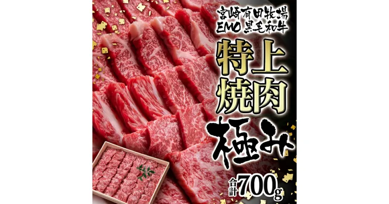 【ふるさと納税】国産黒毛和牛 特上焼肉 700g 極み 宮崎EMO 国産 牛肉 焼肉 数量限定 宮崎 さいとし サイト