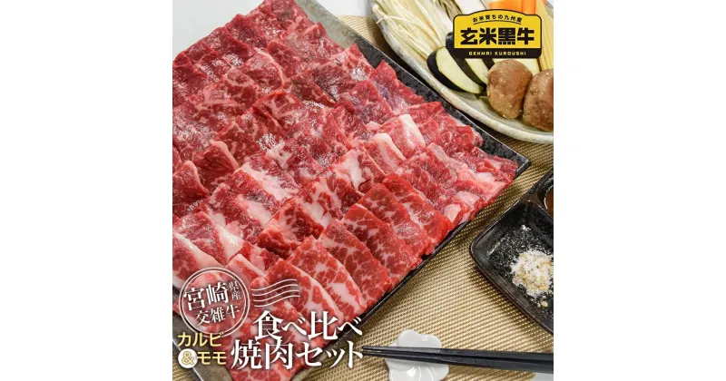 【ふるさと納税】宮崎県産『玄米黒牛』食べ比べ焼肉セット【1kg】（200g×5P）〈1.9-11〉 ふるさと納税 焼肉 国産 牛肉 小分け 送料無料