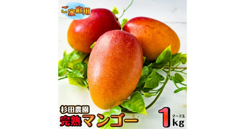 【ふるさと納税】杉田農園 完熟マンゴー約1kg「訳あり」ご家庭用（西都産）＜1.1-1＞ふるさと納税 訳あり 宮崎県 西都市産 人気 さいと サイト ふるさと 宮崎 先行予約