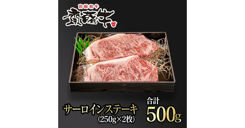 【ふるさと納税】宮崎和牛 齋藤牛 サーロイン ステーキ（250g×2枚）国産 牛肉 ふるさと納税 ステーキ＜4.3-3＞