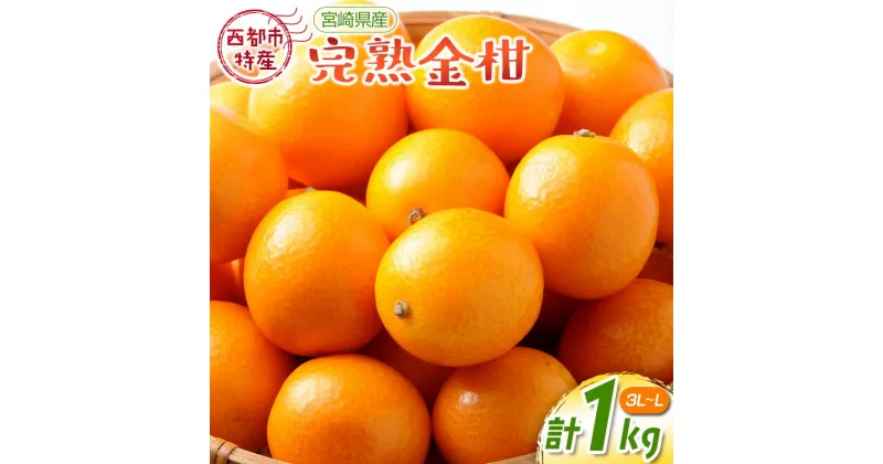 【ふるさと納税】宮崎完熟金柑1kg（3L～L）『先行予約』西都市特産品【数量限定】＜1-233＞