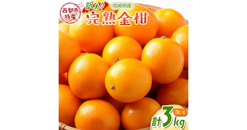 【ふるさと納税】「訳あり」宮崎完熟金柑3kg（3L～L）【先行予約】西都市特産品【数量限定】＜1.2-41＞