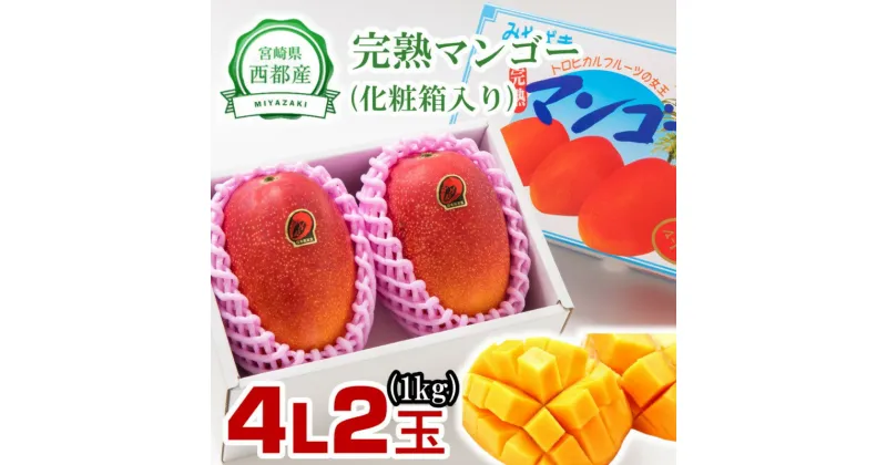 【ふるさと納税】西都市産 完熟マンゴー4L×2玉（約1kg）糖度12度以上 宮崎県 化粧箱入り 先行予約 数量限定＜1.5-178＞