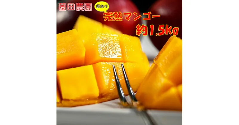 【ふるさと納税】「薗田農園」訳あり 宮崎完熟マンゴー 1.5kg（3～5玉）「楽天限定」西都市 マンゴー「先行予約」