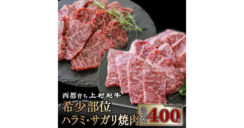 【ふるさと納税】国産黒毛和牛「上村和牛」黒毛和牛ハラミ・サガリ焼肉 400g（各200g） 国産 牛肉 宮崎県産 ふるさと納税 黒毛和牛 焼肉 国産牛 宮崎 送料送料無料＜1.8-3＞