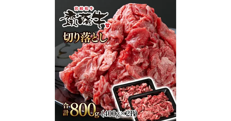 【ふるさと納税】宮崎和牛「齋藤牛」切り落とし800g（400g×2パック）国産 牛肉 小分け 訳あり＜1.2-61＞