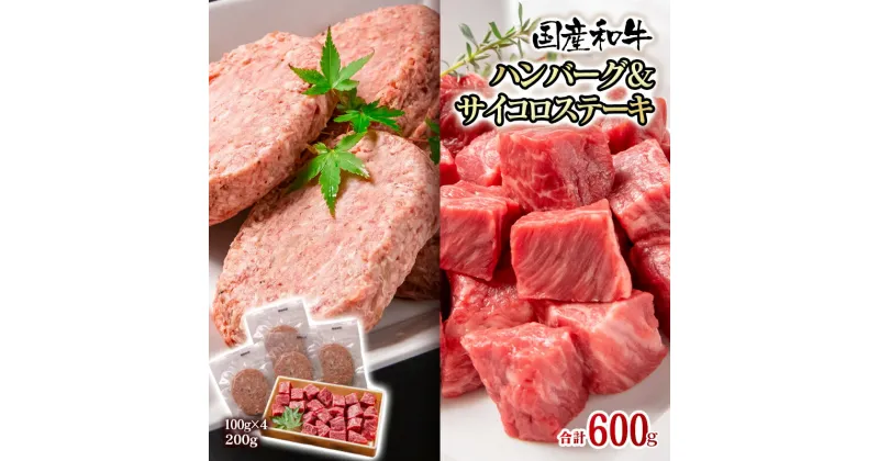 【ふるさと納税】黒毛和牛ハンバーグ＆サイコロステーキ 国産 牛100％ 冷凍 個包装 惣菜 有田牧場 ふるさと納税 ハンバーグ