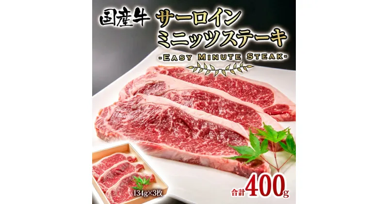 【ふるさと納税】国産牛 サーロインミニッツステーキ3枚（合計400g）牛肉 有田牧畜産業 ふるさと納税 訳あり