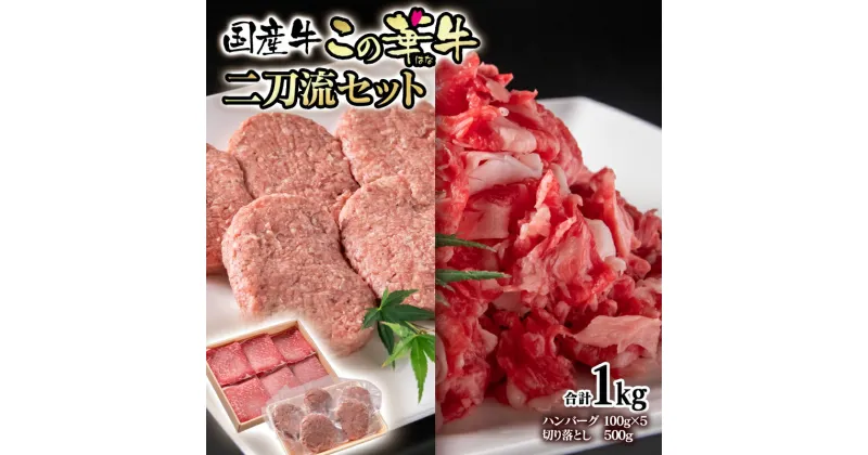 【ふるさと納税】合計1kg！国産牛切り落とし500g＆牛100％ハンバーグ100g×5個　二刀流セット　この華牛＜1.1-27＞ハンバーグ100g×5個 切り落とし500g ふるさと納税 ハンバーグ 訳あり おつまみ 牛肉 国産 ★