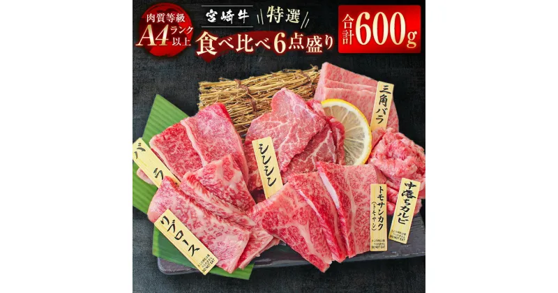 【ふるさと納税】「宮崎牛」特選食べ比べ6点盛り(合計600g) 4等級以上 ふるさと納税 宮崎牛 焼肉 黒毛和牛 宮崎県 西都市 ロース カルビ 赤身 特選赤身 霜降り 中落ちカルビ 牛 肉 牛肉 国産 数量限定 ＜3-44＞