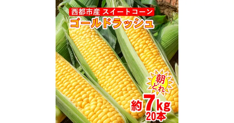 【ふるさと納税】朝どれ スイートコーン 約7kg ゴールドラッシュ（約20本）西都市【先行予約】宮崎県 さいと サイトY