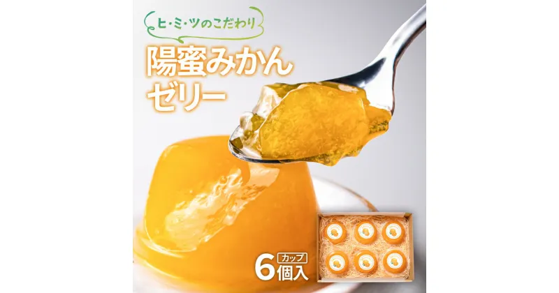 【ふるさと納税】陽蜜みかんゼリーカップ（90g×6個）西都市産陽蜜みかん 常温