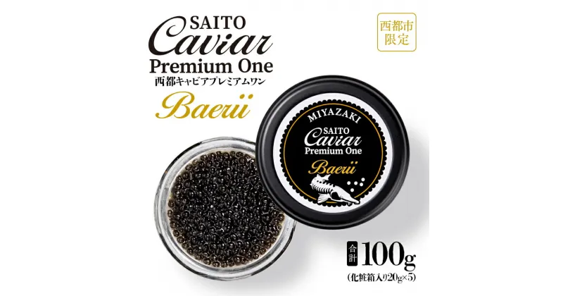 【ふるさと納税】キャビアSAITO CAVIAR PREMIUM ONE BAERII（100g）20g×5「西都限定」「国産」キャビア＜18-3＞西都市 化粧箱 シェルスプーン付