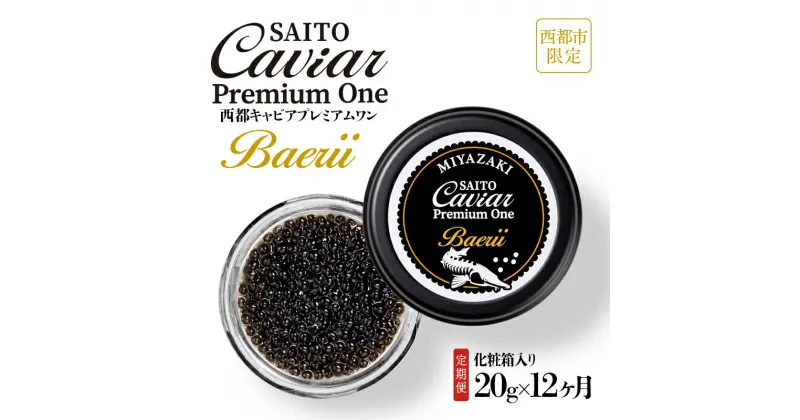 【ふるさと納税】【定期便】キャビアSAITO CAVIAR PREMIUM ONE BAERII（20g×12ヶ月）「西都限定」「国産」キャビア＜18-3＞西都市 化粧箱 シェルスプーン付