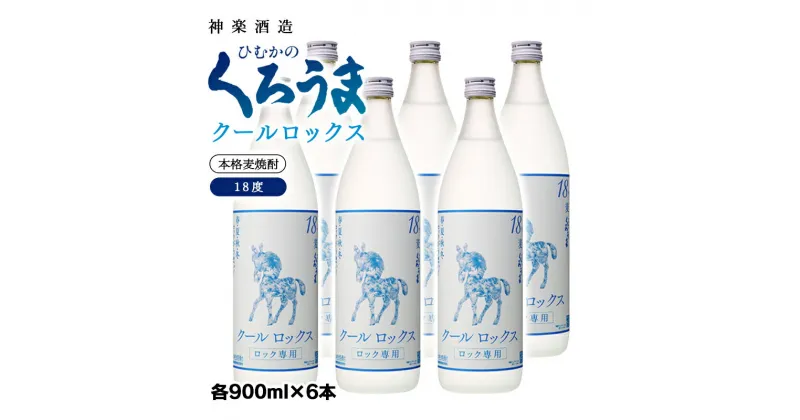 【ふるさと納税】天孫降臨 クールロックス 芋焼酎 18度900ml×6本＜2.1-11＞神楽酒造 宮崎県 焼酎