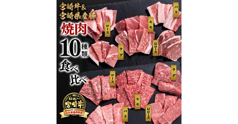 【ふるさと納税】10種盛り焼肉（合計600g）（牛300g・豚300g）「宮崎牛」「宮崎県産豚肉」食べ比べ「数量限定」3D冷凍 ふるさと納税 宮崎牛 豚肉 焼肉 宮崎県 西都市 化粧箱 牛 肉 牛肉 国産 黒毛和牛 数量限定 ミヤチク＜1.1-7＞