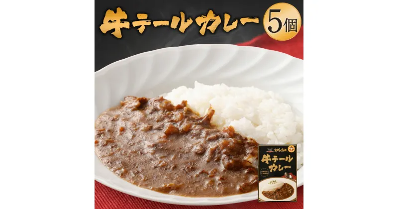 【ふるさと納税】えびの高原 牛テールカレーセット 170g×5個 合計850g レトルト レトルト食品 レトルトカレー ギフト 牛肉 発送時期が選べる 送料無料 レビューキャンペーン対象返礼品