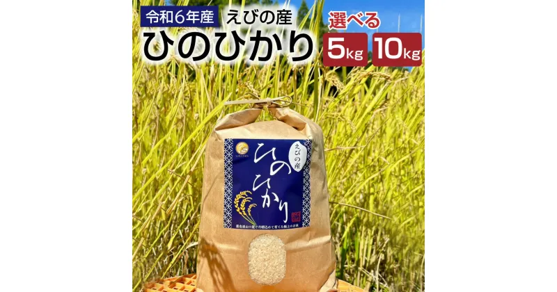 【ふるさと納税】【令和6年度】新米 えびの産 ヒノヒカリ 5kg または 10kg 米 お米 白米 ごはん ひのひかり 精米 おこめ おにぎり お弁当 TKG お取り寄せ 冷めても美味しい 宮崎県 えびの市 送料無料