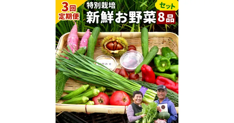 【ふるさと納税】【3回定期便】特別栽培季節のお野菜セット 8品 野菜 新鮮 やさい 旬 詰合せ 国産 宮崎県 九州 送料無料