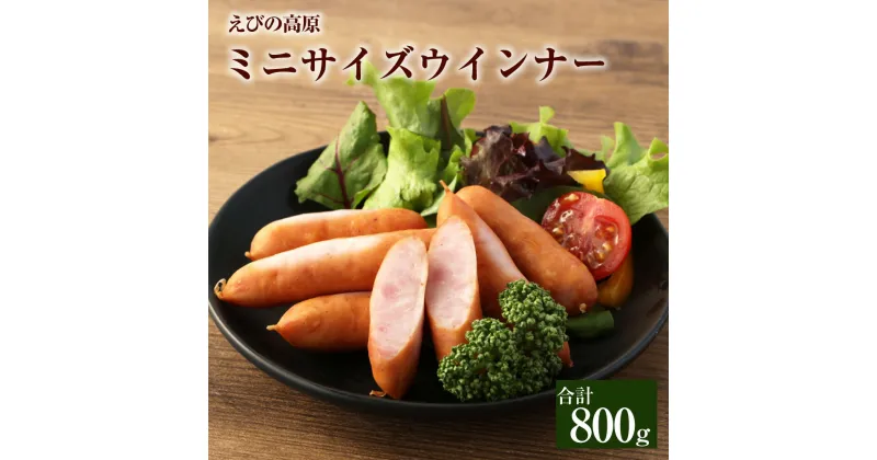 【ふるさと納税】えびの高原 ミニサイズ ウインナー 合計800g 80g×10パック お弁当 鍋 豚 牛 燻製 粗挽き肉 特定原材料7品目不使用 増量材不使用 天然羊腸使用 送料無料 お手軽 時短 宮崎県 レビューキャンペーン対象返礼品