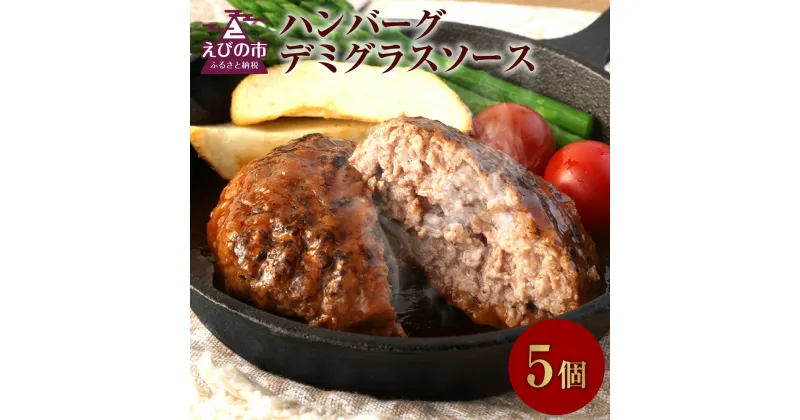 【ふるさと納税】えびの高原 ハンバーグ デミグラスソース 5パック 合計1kg 200g×5パック お肉 肉 惣菜 温めるだけ パック 成長ホルモン不使用 レンジ対応 送料無料 お手軽 時短 宮崎県 レビューキャンペーン対象返礼品