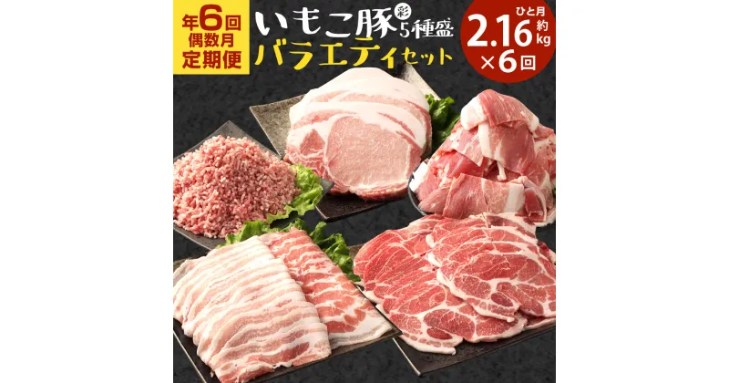 【ふるさと納税】【6回定期便/偶数月発送】豚肉 訳あり いもこ豚（彩） 5種盛り バラエティセット 2.16kg×6回 合計12.96kg バラスライス 小間切れ 切り落とし ロース 肩ロース しゃぶしゃぶ 豚ミンチ詰合せ 冷凍 宮崎県産 九州産 送料無料 レビューキャンペーン対象返礼品