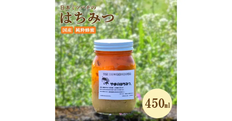 【ふるさと納税】はちみつ 日本蜜蜂の蜂蜜 450ml 蜂蜜 百花蜜 調味料 天然100% 蜂蜜 ハニー トースト パン ヨーグルト 隠し味 コーヒー 紅茶 国産 送料無料