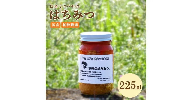 【ふるさと納税】はちみつ 日本蜜蜂の蜂蜜 225ml 蜂蜜 百花蜜 調味料 天然100% 蜂蜜 ハニー トースト パン ヨーグルト 隠し味 コーヒー 紅茶 国産 送料無料