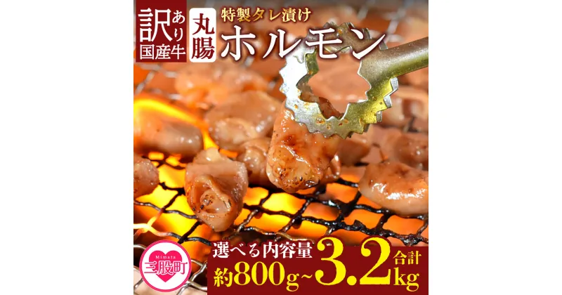 【ふるさと納税】＜【訳あり】国産牛ホルモン丸腸（特製タレ漬け）＞800g 1.6kg 3.2kg 選べる 内容量 国産牛ホルモン 国産 牛肉 肉 ホルモン モツ 丸腸 マルチョウ 冷凍 焼肉 焼き肉 BBQ もつ鍋 煮込み 小分け 焼くだけ 簡単 タレ漬け おつまみ【MI023-nk】【中村食肉】