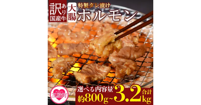 【ふるさと納税】＜【訳あり】国産牛ホルモン大腸（特製タレ漬け）＞ 800g 1.6kg 3.2kg 国産牛ホルモン 国産 牛肉 肉 ホルモン モツ 大腸 冷凍 焼肉 焼き肉 BBQ もつ鍋 煮込み 小分け 焼くだけ 簡単 タレ漬け 簡易包装 野菜炒め 夕食 食感 おつまみ 【MI024-nk】【中村食肉】