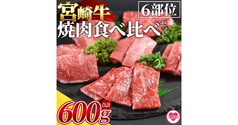 【ふるさと納税】＜3D冷凍宮崎牛焼肉食べ比べセット＞6部位 食べ比べ 焼肉 (合計600g) 肩ロース バラ モモ ウデ ロース ヒレ 牛肉 国産 九州産 焼肉 BBQ 焼き肉 鍋 贈答用 誕生日 プレゼント お中元 御中元 のし付き 熨斗 熨斗対応 のし対応 贈り物 【MI089-my】【ミヤチク】