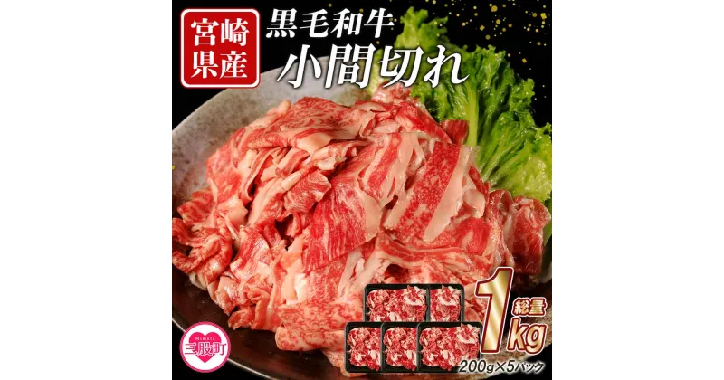 【ふるさと納税】＜宮崎県産黒毛和牛切り落とし (総量1kg)＞ 200g×5P 牛肉 ビーフ お肉 小間切れ こま切れ 小分けパック 炒め物 煮物【MI111-mk】【まきの屋】