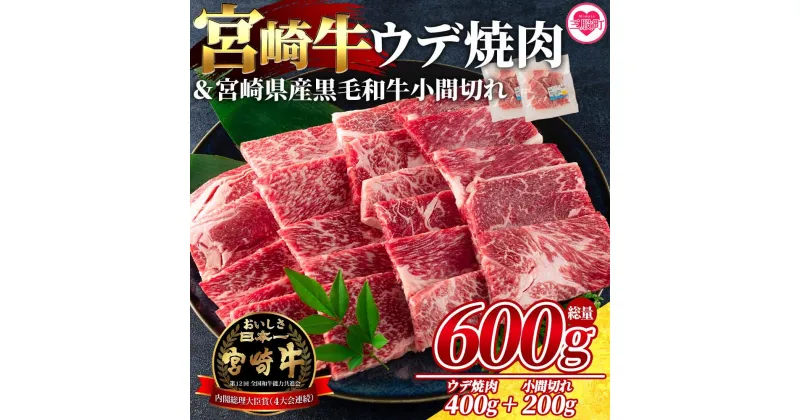 【ふるさと納税】＜宮崎牛ウデ焼肉と宮崎県産和牛小間切れ 総量600g＞牛肉 国産 九州産 焼き肉 BBQ 肉 スライス ブランド牛 食べ比べ セット 小分け 個包装【MI141-my】【ミヤチク】