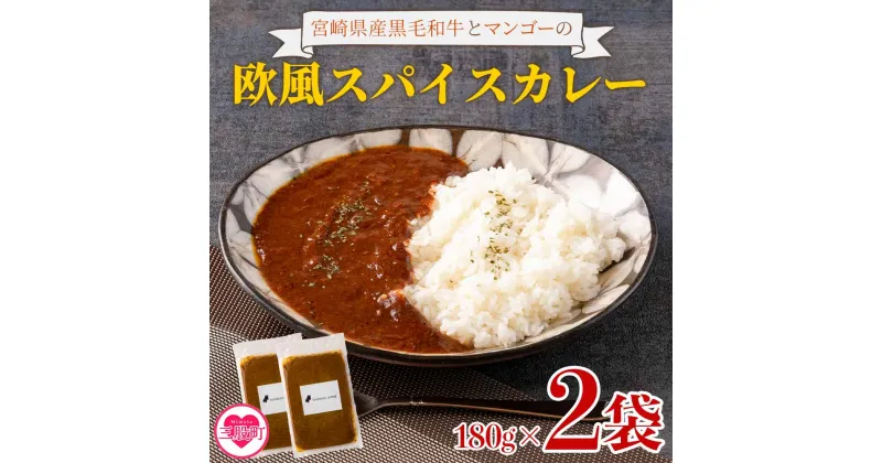 【ふるさと納税】＜108時間煮込んだカレー 冷凍真空パック 2P×180g＞国産 個包装 小分け セット カレー Curry 惣菜 おかず 真空パック レトルトカレー 牛肉 ビーフカレー ご家庭用 ギフト プレゼント【MI227-tc】【cafe食堂とことこ】