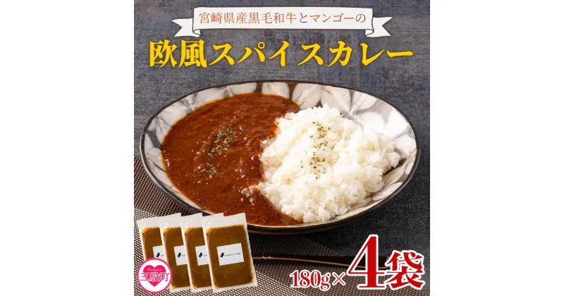 【ふるさと納税】＜108時間煮込んだカレー 冷凍真空パック 4P×180g＞個包装 小分け セット カレー Curry 惣菜 おかず 真空パック レトルトカレー 牛肉 国産 ビーフカレー ご家庭用 ギフト プレゼント【MI228-tc】【cafe食堂とことこ】