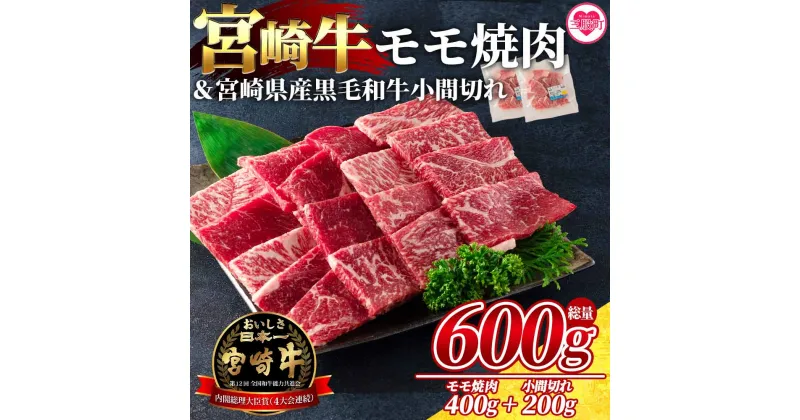 【ふるさと納税】＜宮崎牛モモ焼肉400gと宮崎県産和牛小間切れ200g 総量600g＞牛肉 国産 九州産 焼き肉 BBQ もも肉 スライス ブランド牛 肉じゃが 食べ比べ セット 小分け 個包装【MI236-my】【ミヤチク】