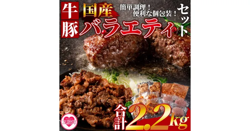 【ふるさと納税】＜簡単お肉おかず小分けバラエティーセット（牛・豚） 総量約2.2kg＞国産 牛肉 豚肉 小分け 個包装 肩ロース ロース みそ漬け 味噌漬け ホルモン タレ漬け 和牛 牛 豚 小間切れ コマ切れ ハンバーグ バーベキュー BBQ 簡単 【MI271-hr】【肉の豊楽】