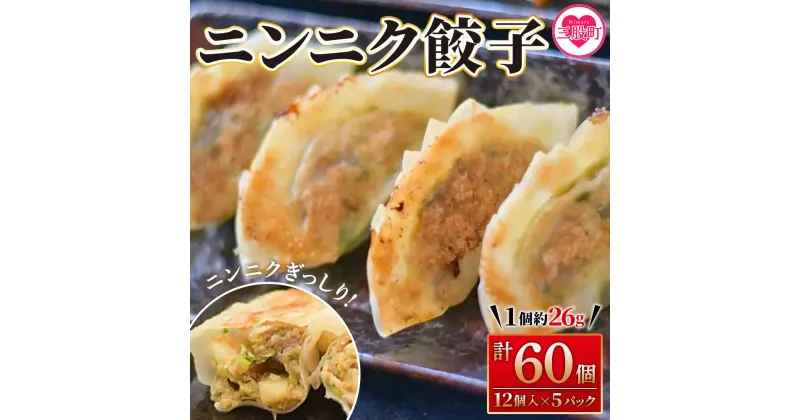 【ふるさと納税】【数量限定！】＜ニンニク餃子（12ヶ入×5パック）＞ギョウザ ぎょうざ ギョーザ にんにく 大蒜 冷凍 惣菜 弁当 焼くだけ おつまみ 簡単調理 中華 グルメ【MI282-fu】【福栄生餃子店】