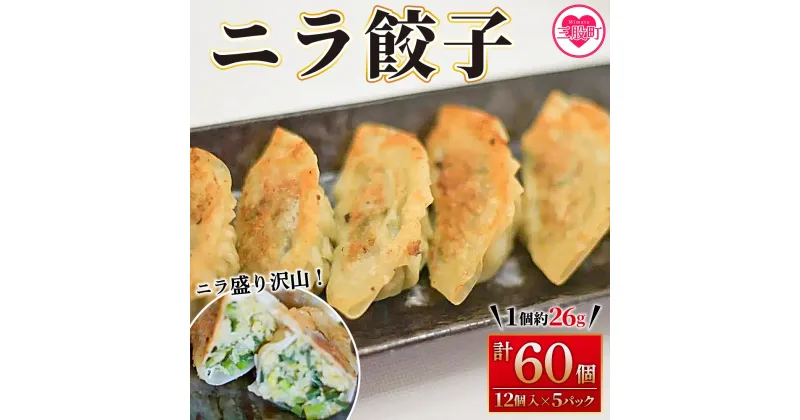 【ふるさと納税】【数量限定！】＜ニラ餃子（12ヶ入×5パック）＞ギョウザ ぎょうざ ギョーザ にら 韮 冷凍 惣菜 弁当 焼くだけ おつまみ 簡単調理 中華 グルメ【MI285-fu】【福栄生餃子店】