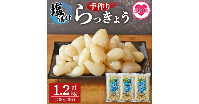 【ふるさと納税】＜手づくりらっきょう 400g×3袋セット＞ らつきょう ラッキョウ 辣韭 おつまみ 肴 ご飯のおとも 野菜 旬 漬物 国産 宮崎県産 九州産【MI321-ko】【株式会社上沖産業】