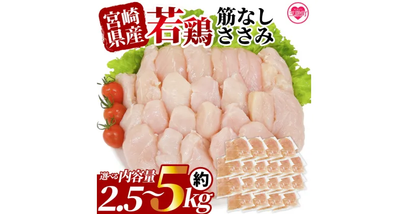 【ふるさと納税】＜選べる内容量 宮崎県産若鶏筋なしささみ 約2.5～5kg＞ 国産 鶏 肉 精肉 ささみ ささみ肉 筋なし 使いやすい パック 真空冷凍 お弁当 惣菜 蒸し鶏 数量限定 鶏ささみ 鶏ササミ ササミ 鳥ささみ 鳥ササミ あっさり すじ無し 便利 【MI436-tr】【TRINITY】