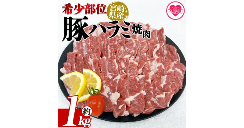 【ふるさと納税】＜宮崎県産希少部位 豚ハラミ焼肉 約1kg＞ 国産 豚肉 ぶたにく お肉 はらみ 焼き肉 ブタ ステーキ BBQ 1キロ 使いやすい 小分け パック 真空冷凍 お弁当 ジューシー 肉質 柔らかい 上品 豊かな味わい 味彩豚 ブランド 数量限定 【MI462-tr】【TRINITY】